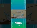 Download Lagu What Happens When You Drink Water with Baking Soda on an Empty Stomach #shorts