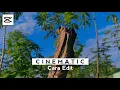 Download Lagu Cara Edit Cinematic Di Android - Capcut Tutorial
