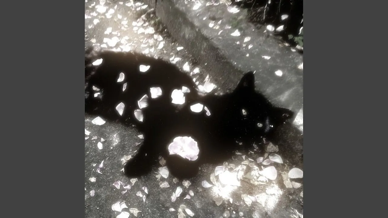 bounce out with that x blind spots