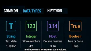 Python Variables Data Types Explained for Beginners 2026 Guide
