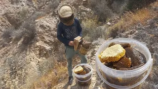 احسن لعسل لحر تبيعي في جبال الريف إقليم لحسيمة شهدو علي طاريق باش كنحيدو لعسل لحر دندنها