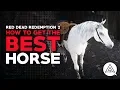 Red Dead Redemption 2 How to Get the Best Horse