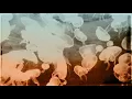 SO Duo - Söylemeden Anladık [ Official Music Video © 2018 Kalan Müzik ]