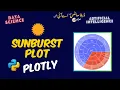Sunburst interactive plot in plotly