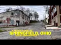 Missing Dogs Cats This Is Who Springfield OHIO Voted For - What I Saw With Stats