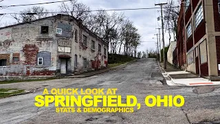 Missing Dogs Cats This Is Who Springfield OHIO Voted For - What I Saw With Stats