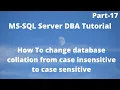 How to change database collation from case insensitive to case sensitive