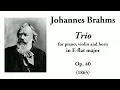 Brahms: Horn Trio in E-flat major, Op. 40 (with Score)