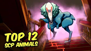 SCP-1550 Dr Wondertainment s Custom Pets - Top 12 SCP Animals Compilation