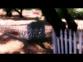 Collecting Graveyard Dirt * History of Voodoo Conjure Spells in New Orleans (ASMR)