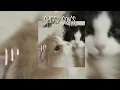Download Lagu /Nếu hôm nay trời nắng to, chỉ cần em muốn sẽ mưa…/ Em là bà nội của anh | speed up by Lora