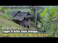 Download Lagu MENGUNJUNGI SEPASANG RUMAH GUBUK LANSIA TINGGAL MENYENDIRI DI TENGAH HUTAN JAWA BARAT...