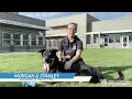 Project Pal - Stanley