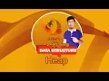 Data Structure - Heap