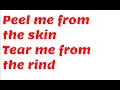 MUDVAYNE - HAPPY? (Lyric Video)