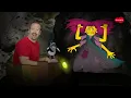 Monster for Kids | Songs for Children with Steve and Maggie from Wow English TV | Rhymes Song