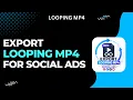 How To Export Looping MP4 For Social Ads