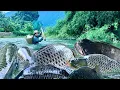 Lagu Traditional Fishing Skills - Girl Dams A 100m Stream To Catch Giant Fish in The Freezing Winter
