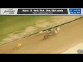 Miracle Comeback At Southland Greyhound Racing