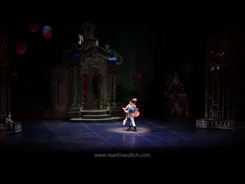 LA VIUDA ALEGRE (momentos) - Teatro Colu00f3n 2018 - www.martinwullich.com