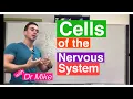Cells of the Nervous System Neurons and Glia