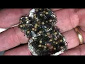 DEADLY SPIDER EGG SAC OPENING The Australian Reptile Park