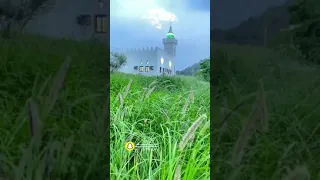 إلى الله نمضي يا هنيئا  لمن سبق    دندنها