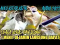 Download Lagu SUARA PIKAT BURUNG PRENJAK LUMUT AMPUH ANTI ZONK@Smstachanel