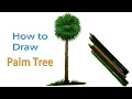 How to Draw Palm tree Step by Step Very Easy