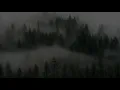 the curse [slowed and with so much reverb]