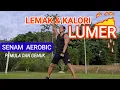 Download Lagu 20 MENIT SENAM AEROBIC BAKAR LEMAK UNTUK PEMULA  | VOL 1
