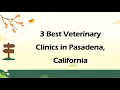 3 Best Veterinary Clinics in Pasadena California Animal Hospitals