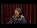 Joe Rogan Experience - Ethan Hawke