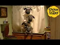 Download Lagu Shaun the Sheep 🐑 Hide in the Shower! - Cartoons for Kids 🐑 Full Episodes Compilation [1 hour]