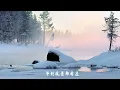 王菲 《紅豆》Faye Wong