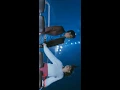 Full screen whatsapp status | Sivakarthikeyan | Hansika | Anirudh | Sean Roldan |On Nenappu song