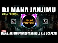 Download Lagu DJ MANA JANJIMU ZIELL FERDIAN REMIX VIRAL TIKTOK TERBARU 2023 MANA JANJIMU PADAKU