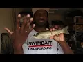 5 Tips For Getting Into Swimbaits For Beginners