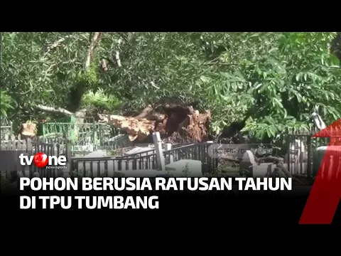 Diterjang Angin Kencang, Puluhan Makam Rusak Tertimpa Pohon