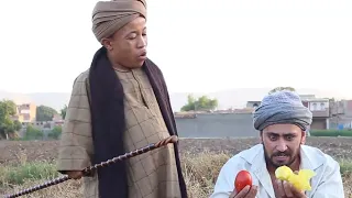 هتموت من الضحك الجو عمل العقبي شربة أرانب 