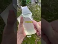 Channel