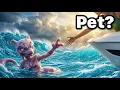 Lagu I saved a Mewtwo|Pokémon In Real Life