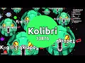 Silly Noobs Part 2 Agar io Solo Gameplay