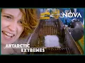 Download Lagu Where Does the Poop in Antarctica Go? | Antarctic Extremes