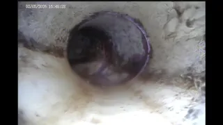                 دندنها