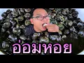 Download Lagu กินอ่อมหอยจูบ อ่อมหอยขม อ่อมหอยนาซดน้ำนัวๆหอมๆแซ่บๆ |หนุ่ยเบียร์family 