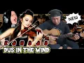 Download Lagu MAKIN BERKELAS‼️Kolaborasi TERBARU Alip Ba Ta | DUST IN THE WIND ( KANSAS )