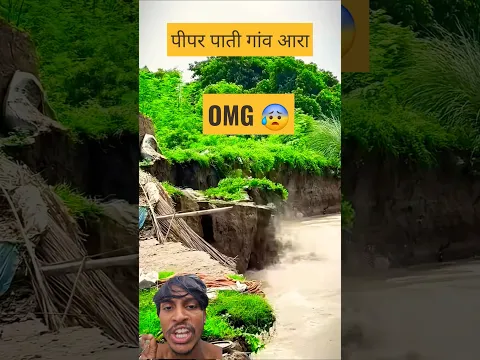 पीपर पाती गांव badh se dub raha hai Bihar dadh #shorts