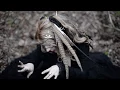 Download Lagu Mysterose Garden - Sateet