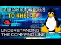 Introduction to RHEL 10 Understanding the Command Line Interface